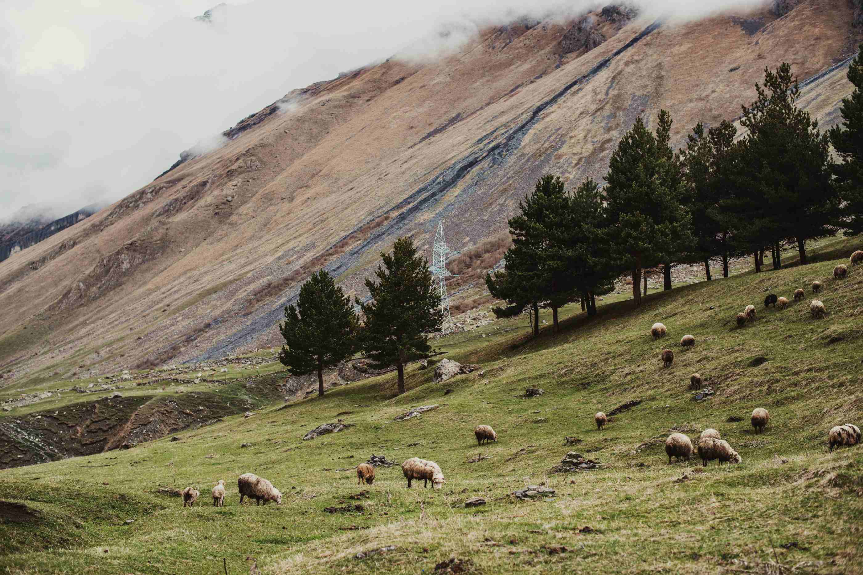 Caucasus Mountains eSIM 3 Countries